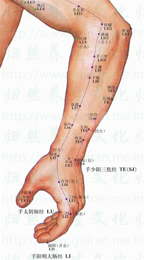 陽西穴|陽溪穴位：功效、位置、不通症狀及保養方法